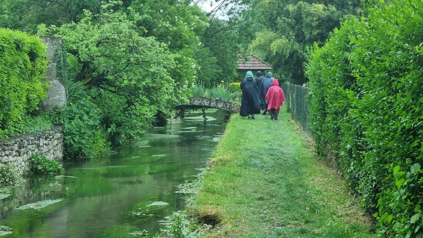 Le long des ruisseaux aux eaux claires