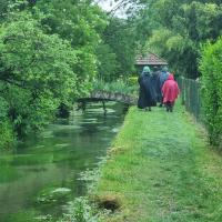 Le long des ruisseaux aux eaux claires