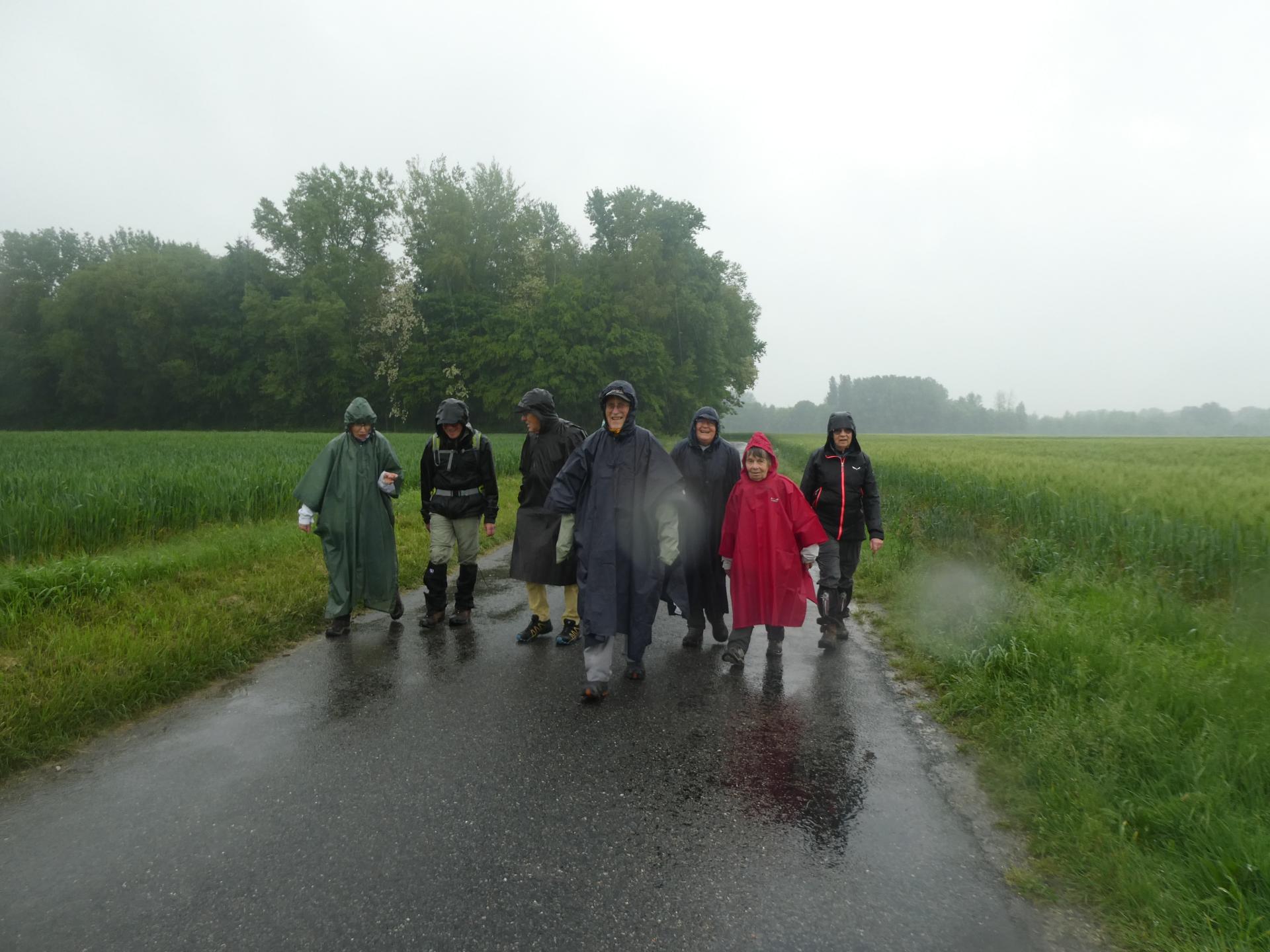 Une pluie insistante
