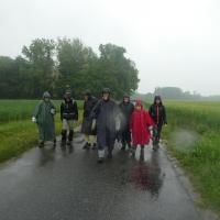 Une pluie insistante